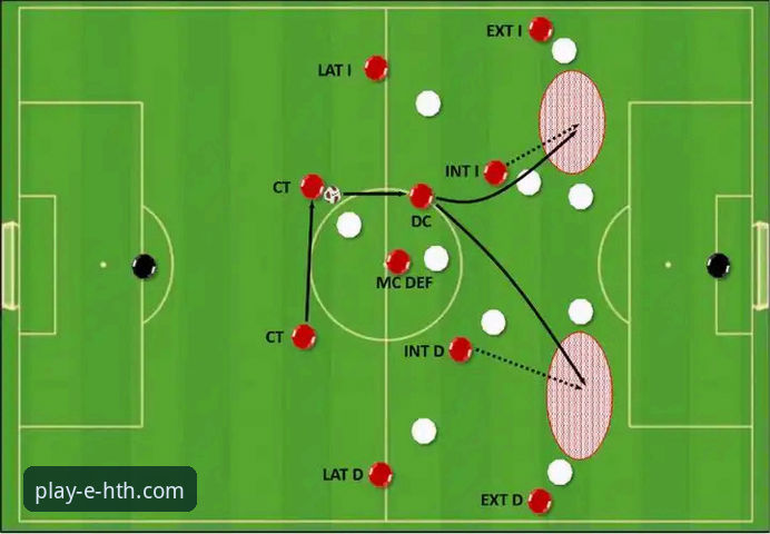 阿根廷锋线新星陨落深度评测：战术变革与未来展望